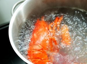 Tips for Boiling Lobster